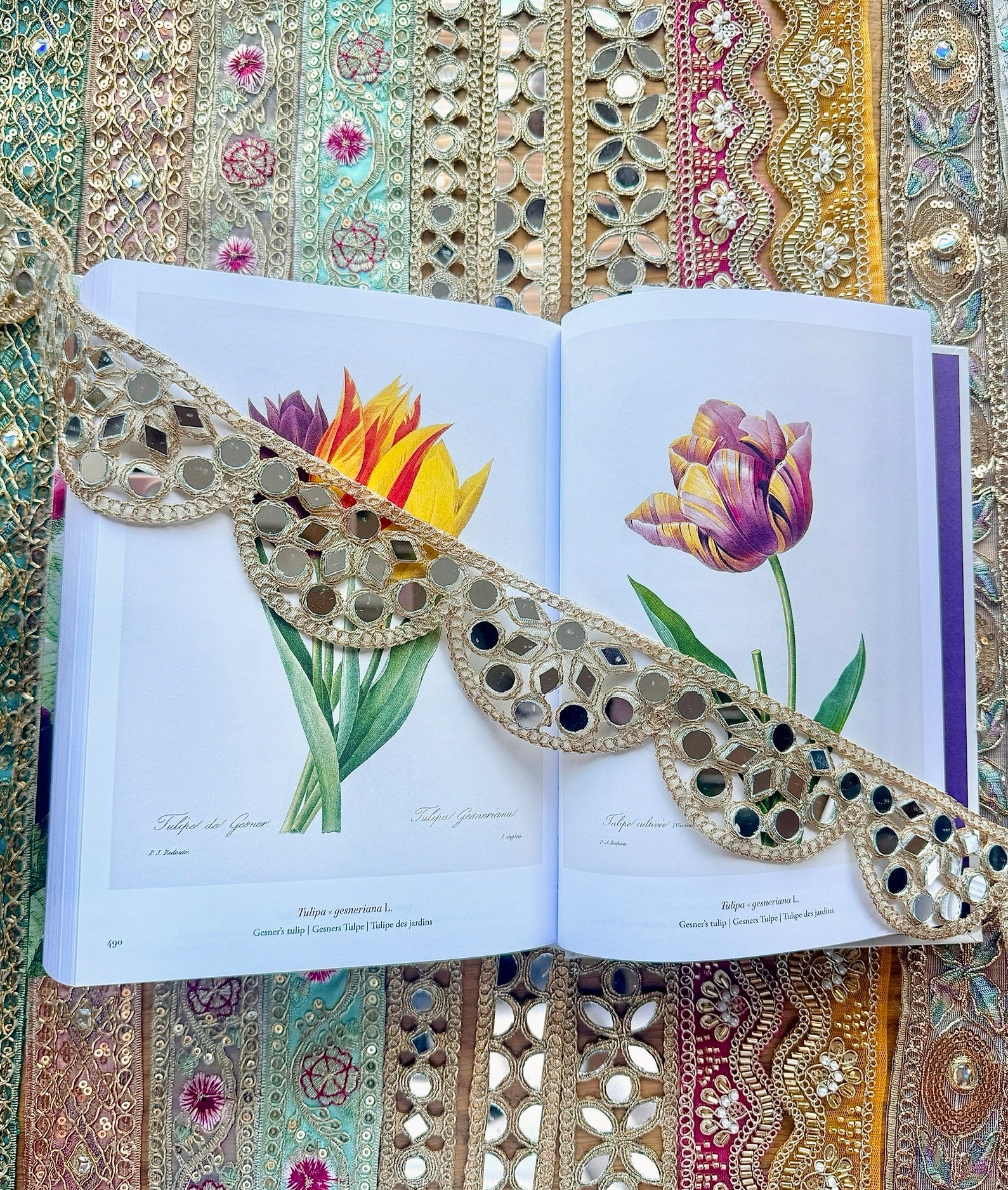 Tulipa Belt